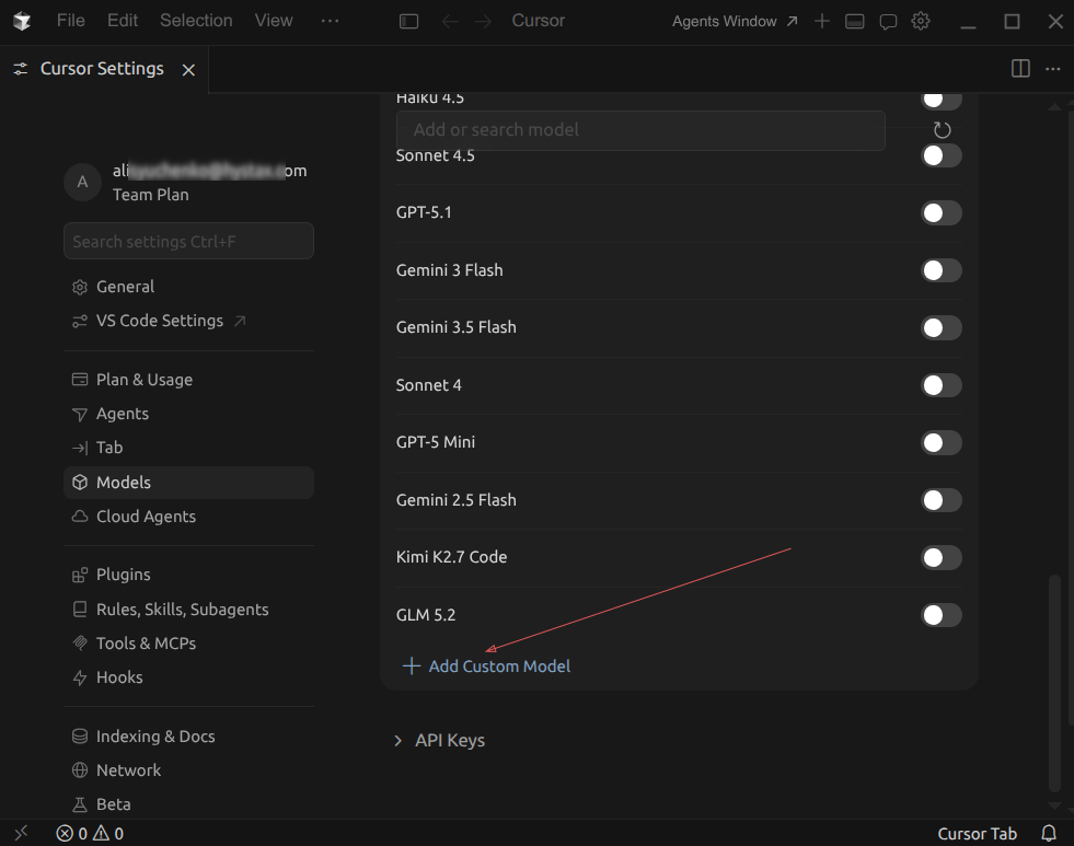 Cursor Settings Models page with Add Custom Model highlighted