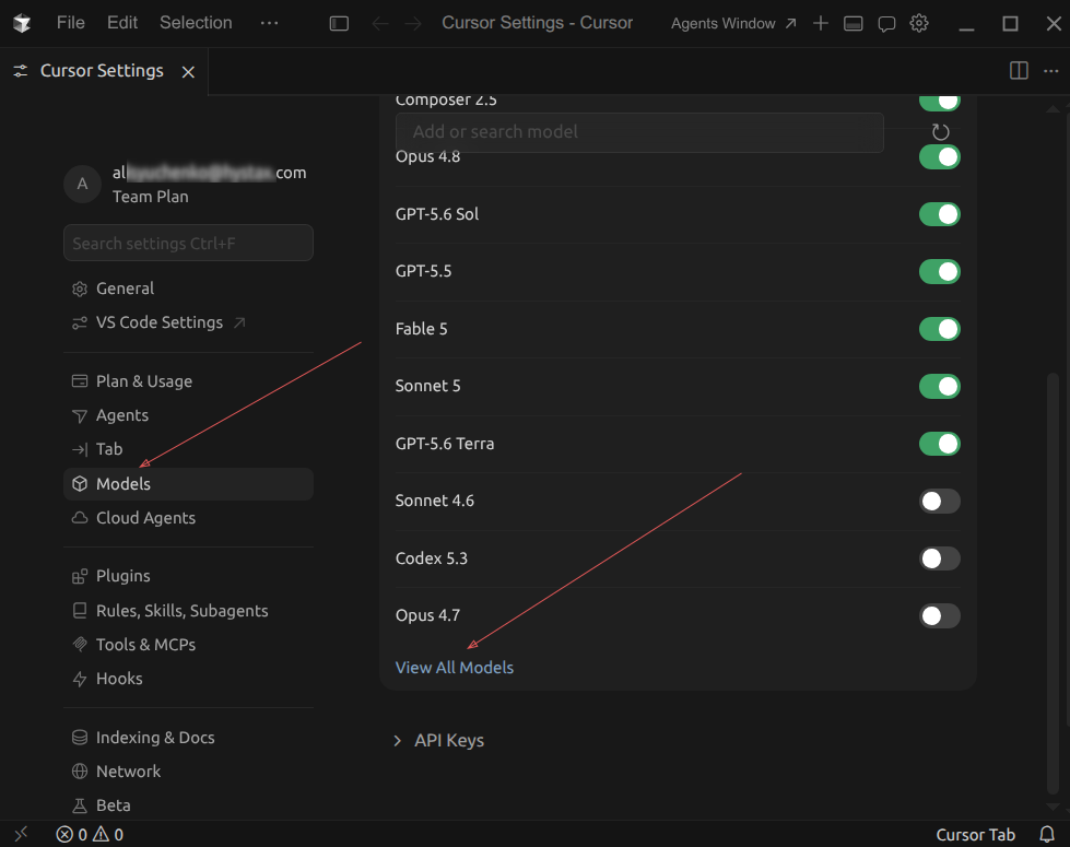 Cursor Settings Models page with Models sidebar and View All Models highlighted