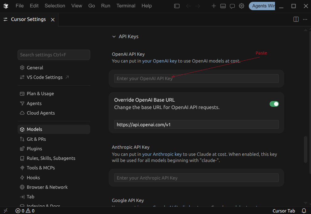 Cursor paste API Key