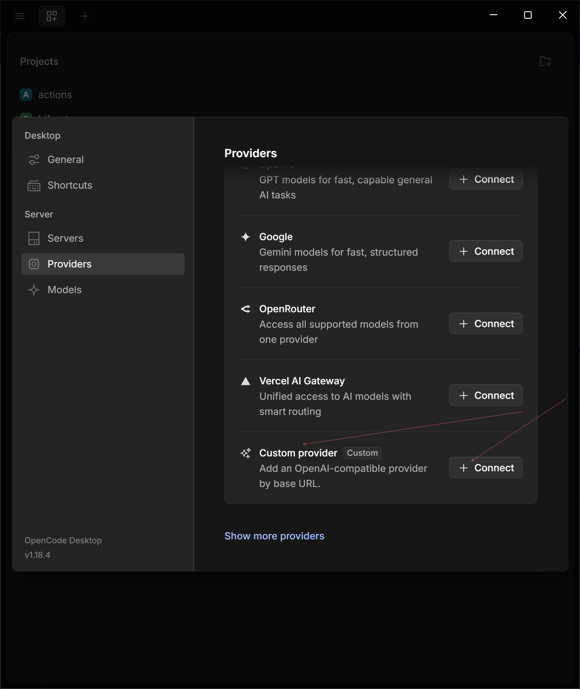 OpenCode Providers list with Custom provider highlighted